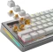 Glorious Panda HE Tactile Magnetic Switch, geschmiert, 36er-Pack Vorschaubild