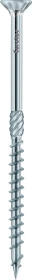 Eurotec Paneltwistec AG T20 4x30 Holzbauschraube, 4x30mm, 1000 Stück