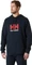 Helly Hansen HH Logo Hoodie (Herren) Vorschaubild