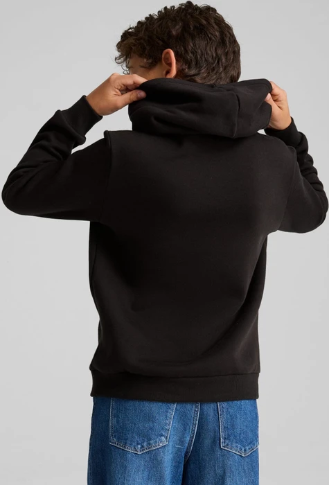 Puma Power Graphic Hoodie puma black (Junior)