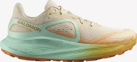 Salomon Glide Max TR bleached sand/yucca/orange pepper (Herren)