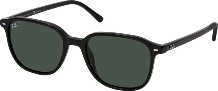 Ray-Ban RB2193 Leonard