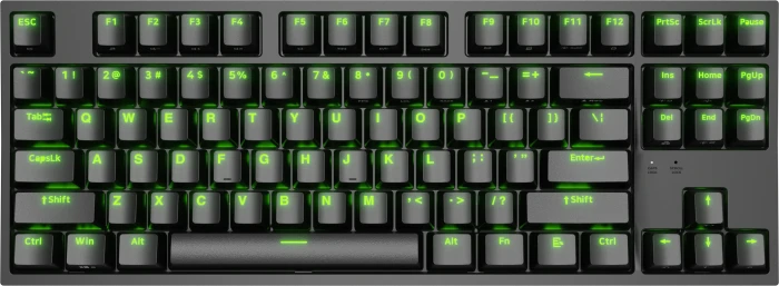 Genesis Thor 404 TKL, schwarz, LEDs RGB, hot-swap, Gateron Pro YELLOW, USB, DE