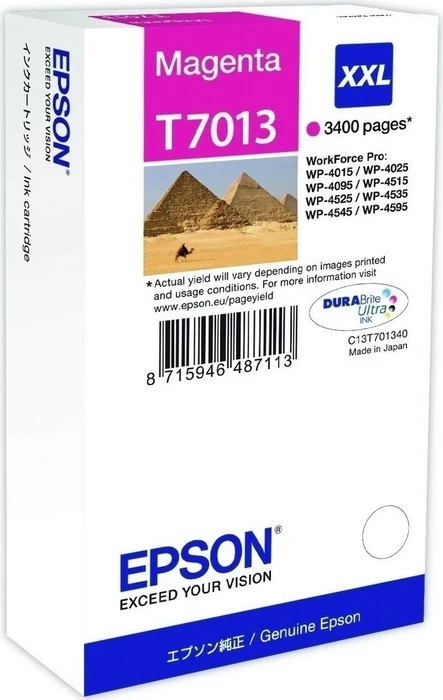 Epson Tinte T701