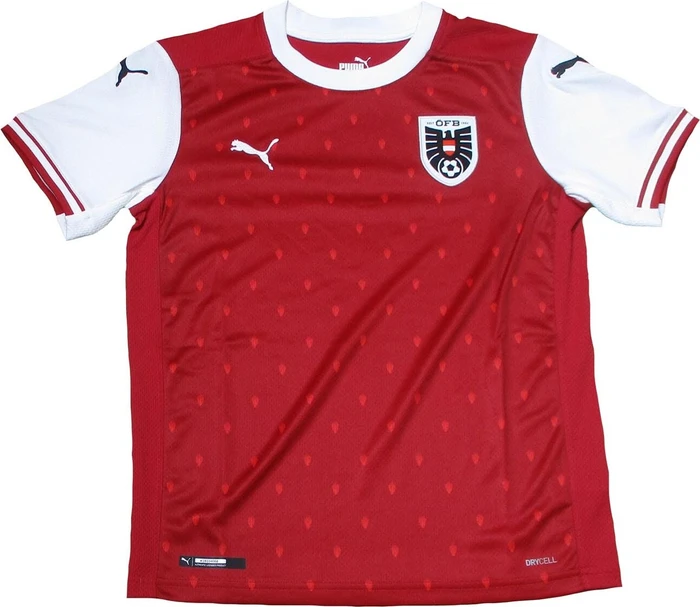 Puma UEFA EURO 2020 Österreich Trikot (Junior)