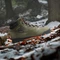 adidas Terrex Snowpitch Cold.RDY olive strata/bronze strate/semi impact orange Vorschaubild