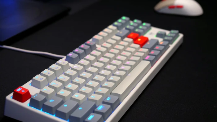 Cherry Xtrfy K4V2 TKL, Retro, grau, LEDs RGB, MX2A RGB RED, USB, US