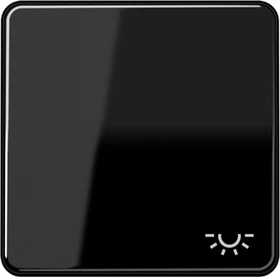 Jung Serie CD Wippe Duroplast mit Symbol "Licht", schwarz