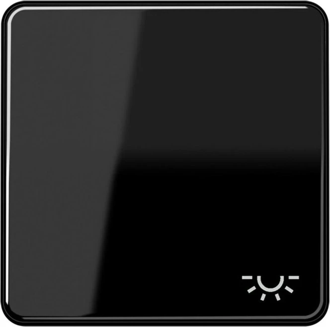 Jung Serie CD Wippe Duroplast mit Symbol "Licht", schwarz