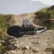 adidas Terrex Free Hiker 2.0 trace cargo/carbon/active purple (Damen) Vorschaubild