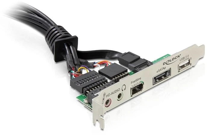 DeLOCK Slotblende, 1x USB-A 2.0, 1x eSATAp, 1x FireWire, 1x Klinke