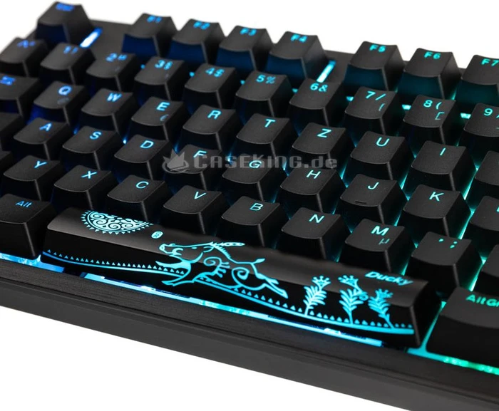 Ducky Shine 7 PBT, LEDs RGB, Blackout Edition, schwarz, MX RGB BROWN, USB, US