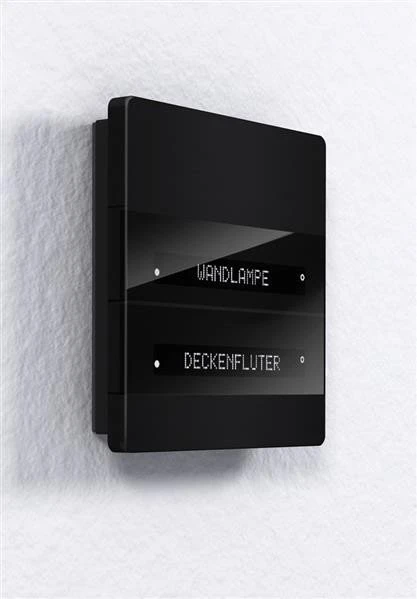 Enertex MeTa KNX Standard Raumcontroller 2-fach