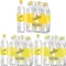 Schweppes Indian Tonic Water 1.25l Vorschaubild