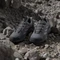 adidas Eastrail GTX grey five/preloved fig (Damen) Vorschaubild