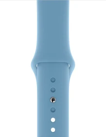 Apple Sportarmband S/M und M/L für Apple Watch 40mm kornblume