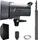Elinchrom D-Lite RX 4 First Studio Kit (20491)