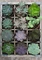 Ravensburger Green Vorschaubild