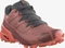Salomon Speedcross 5 brick dust/persimon (Damen) Vorschaubild
