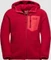 Jack Wolfskin Ice Cloud Hood Jacke (Junior) Vorschaubild