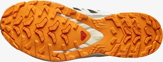 Salomon XA Pro 3D V9 GTX black/vanilla ice/turmeric (Herren)