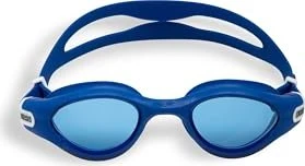 Arena The One Plus Schwimmbrille blau