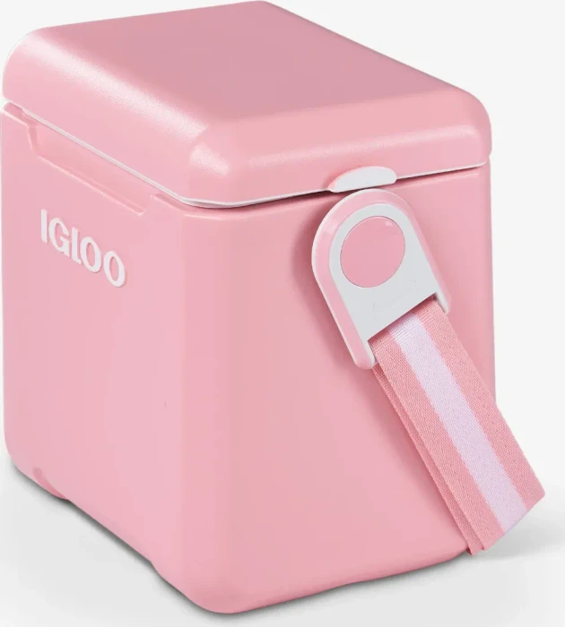 Igloo Tag Along Too Passiv-Kühlbox blush