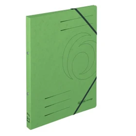 Herlitz Ringbuch 2-Ring Colorspan, 25mm, A4, grün