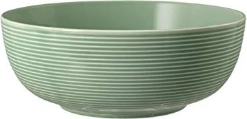 Seltmann Weiden Beat Color Glaze Bowl 20.4cm salbeigrün