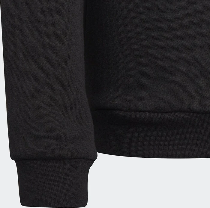 adidas Entrada 22 Sweatshirt schwarz (Junior)