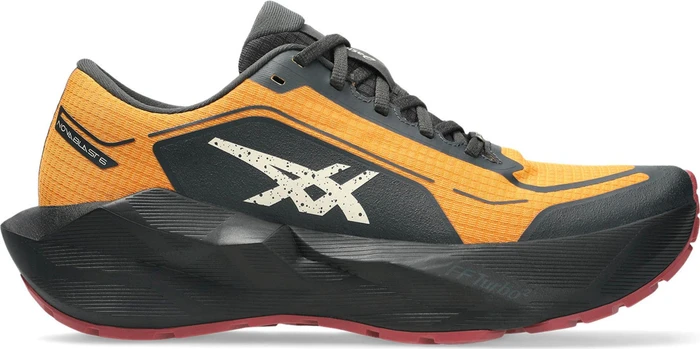 Asics Novablast 6 GTX sandstorm/black (Herren)