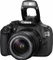 Canon EOS 1200D mit Objektiv EF-S 18-55mm 3.5-5.6 und EF 50mm 1.8 II Vorschaubild