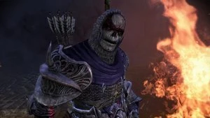 Dragon Age: Origins - Awakening (Add-on) (PC)