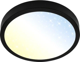Briloner Runa LED Deckenleuchte 18W 28cm schwarz