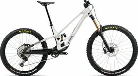Orbea Rallon E-Team white chic/diamond black Modell 2026