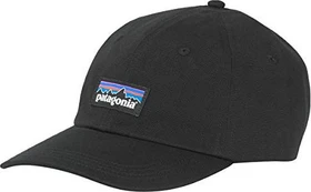 Patagonia P-6 Label Trad Kappe schwarz