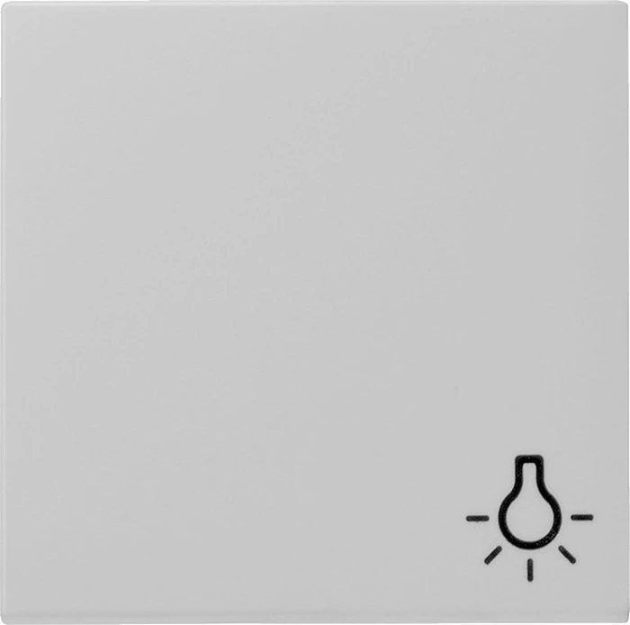 Gira Wippe mit Symbol Licht, grau matt