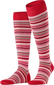 Falke Microblock Socken geranium (Herren)