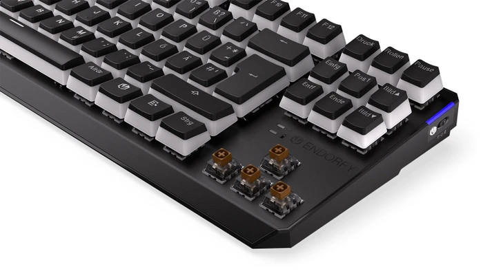 Endorfy Thock TKL Wireless Pudding, PBT, LEDs RGB, hot-swap, Kailh Box BROWN, USB/Bluetooth, DE