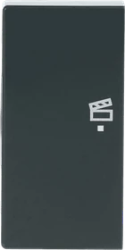 Busch-Jaeger Wippe 2-fach mit Symbol "Szene", anthrazit