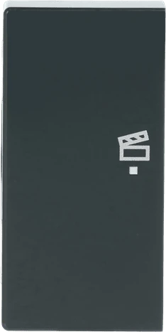 Busch-Jaeger Wippe 2-fach mit Symbol "Szene", anthrazit
