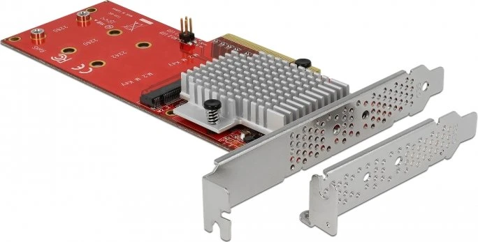 DeLOCK 2x M.2, PCIe 3.0 x8