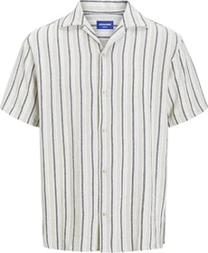 Jack & Jones Relaxed Fit Hemd kurzarm celadon tint (Herren)