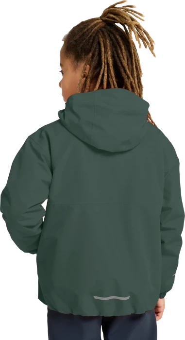 Jack Wolfskin Iceland 3in1 Funktionsjacke sago plam (Junior)