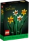 LEGO Botanicals - Narzissen Vorschaubild