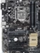 ASUS B150-Plus D3 (Intel 1151) Vorschaubild