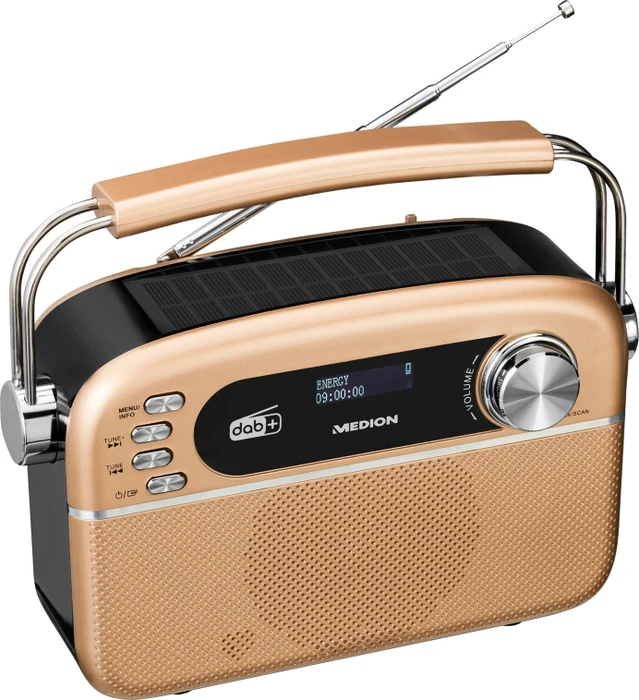 Medion Life E66809 gold
