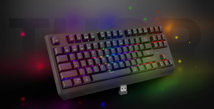 Genesis Thor 230 TKL Wireless, schwarz, LEDs RGB, hot-swap, Outemu Panda, USB/Bluetooth, US