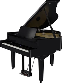 Roland GP-9 schwarz