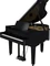 Roland GP-9 schwarz Vorschaubild
